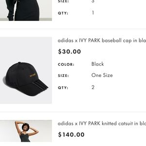 Ivy park baseball hat